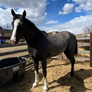 Meet your Posher, Kyler